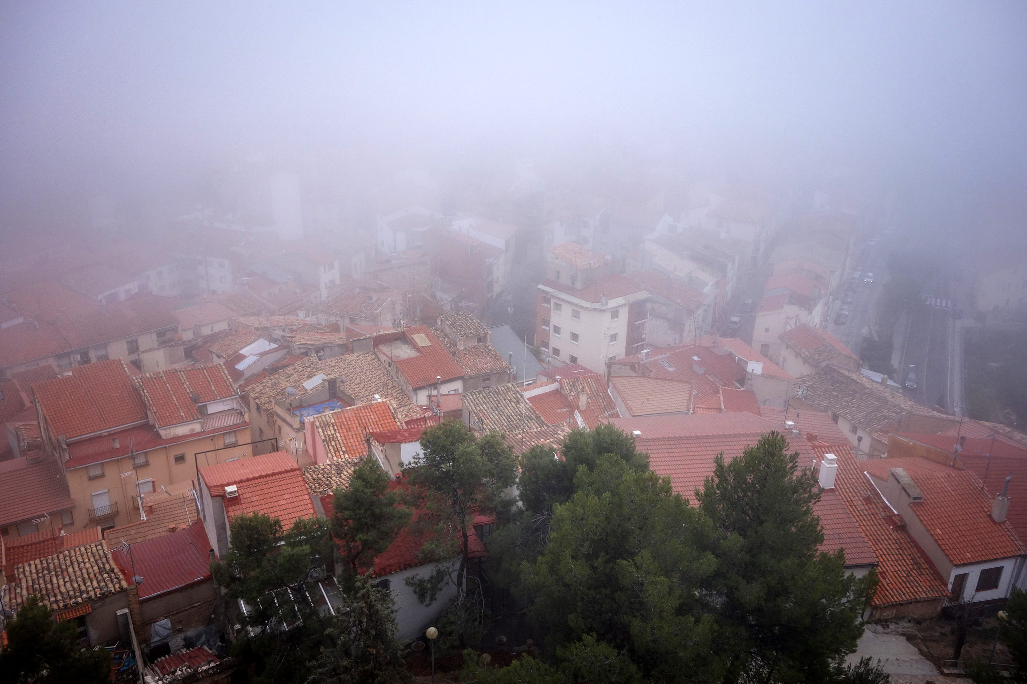 Alcaniz